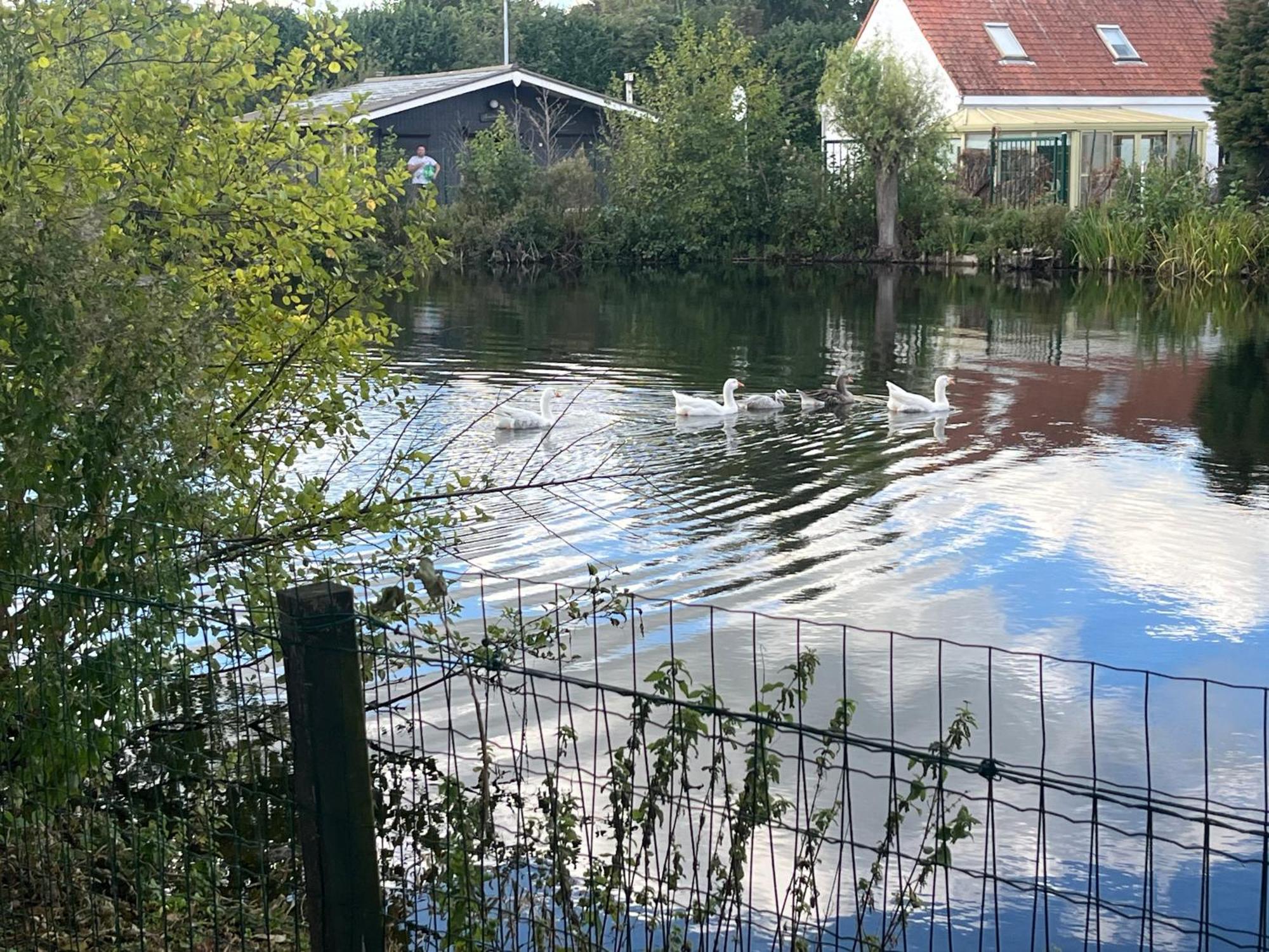 Chaletje Tis-Ier-Goed Jabbeke  Exterior foto